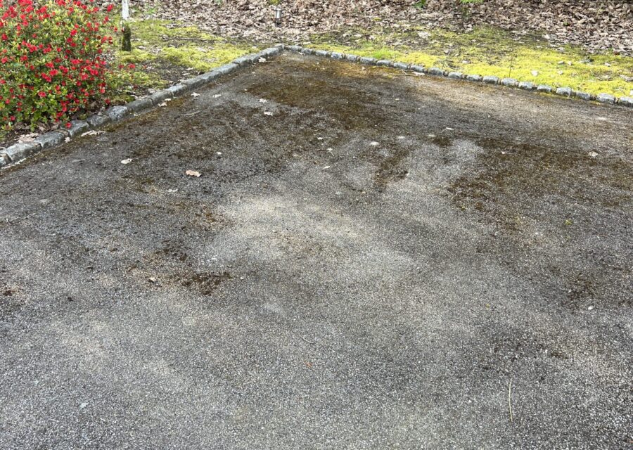 Driveway before cleaning, with moss and dirt