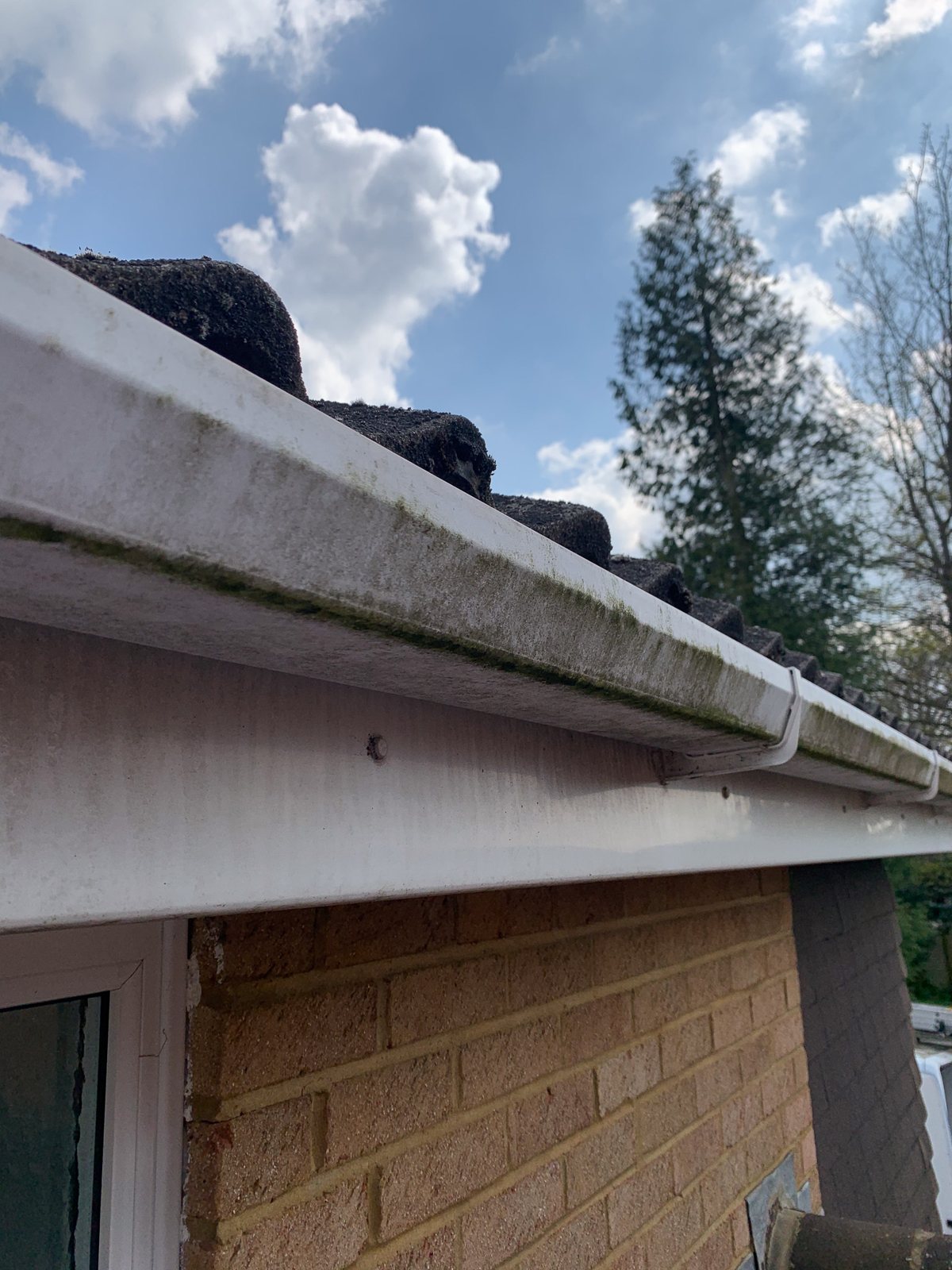 Dirty conservatory gutter with algae and debris before cleaning in Godalming Surrey