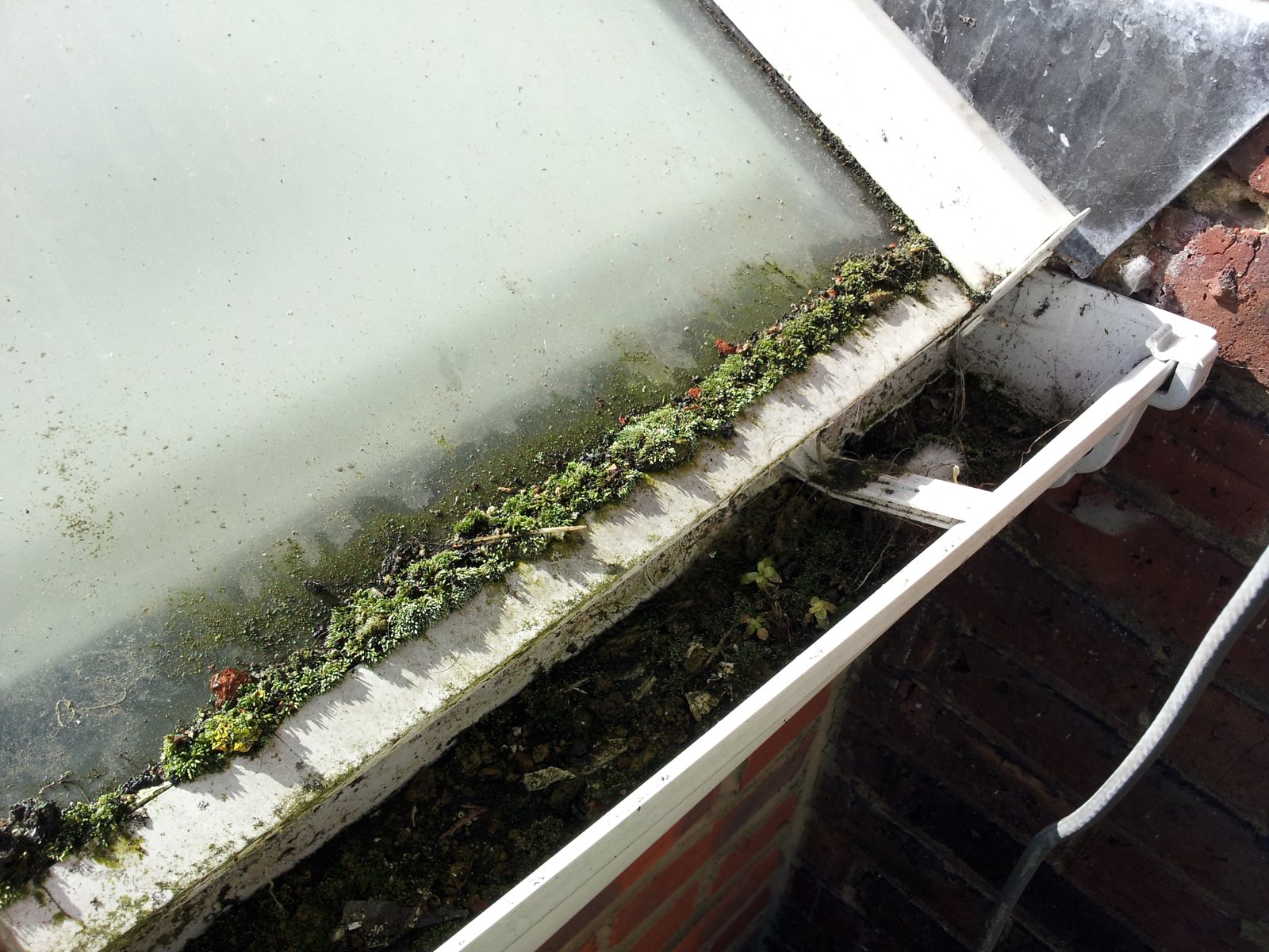 Before: algae, moss and grime built up along the glazing bars and gutter.