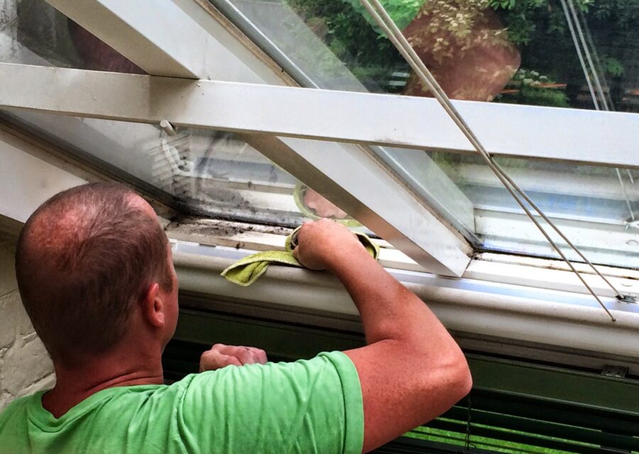 Cleaning the inside of a conservatory roof in Byfleet