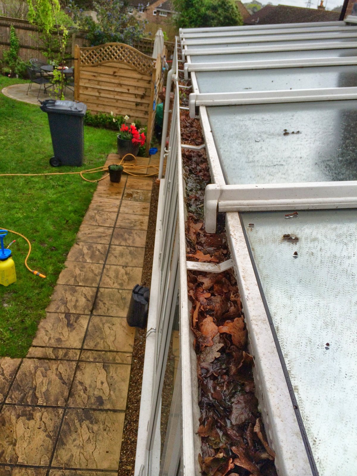 Algae on the roof and leaves in the box gutters.