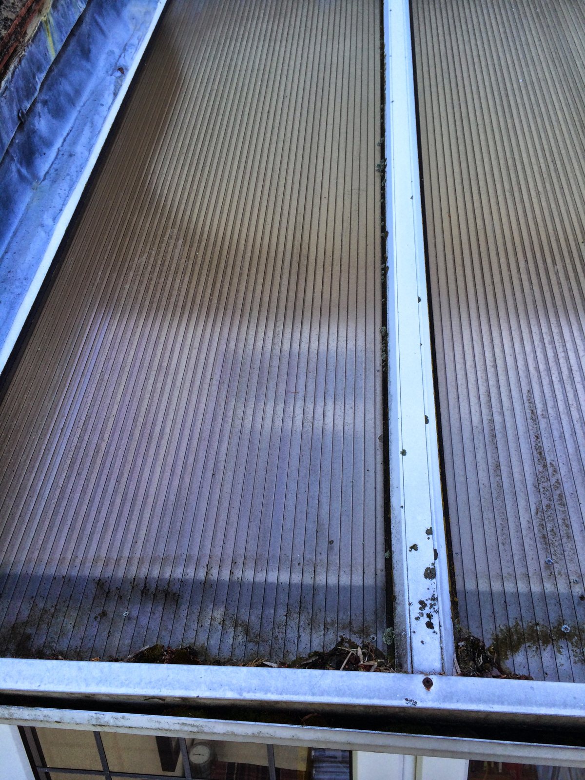 Streaks and algae on the polycarbonate panels.