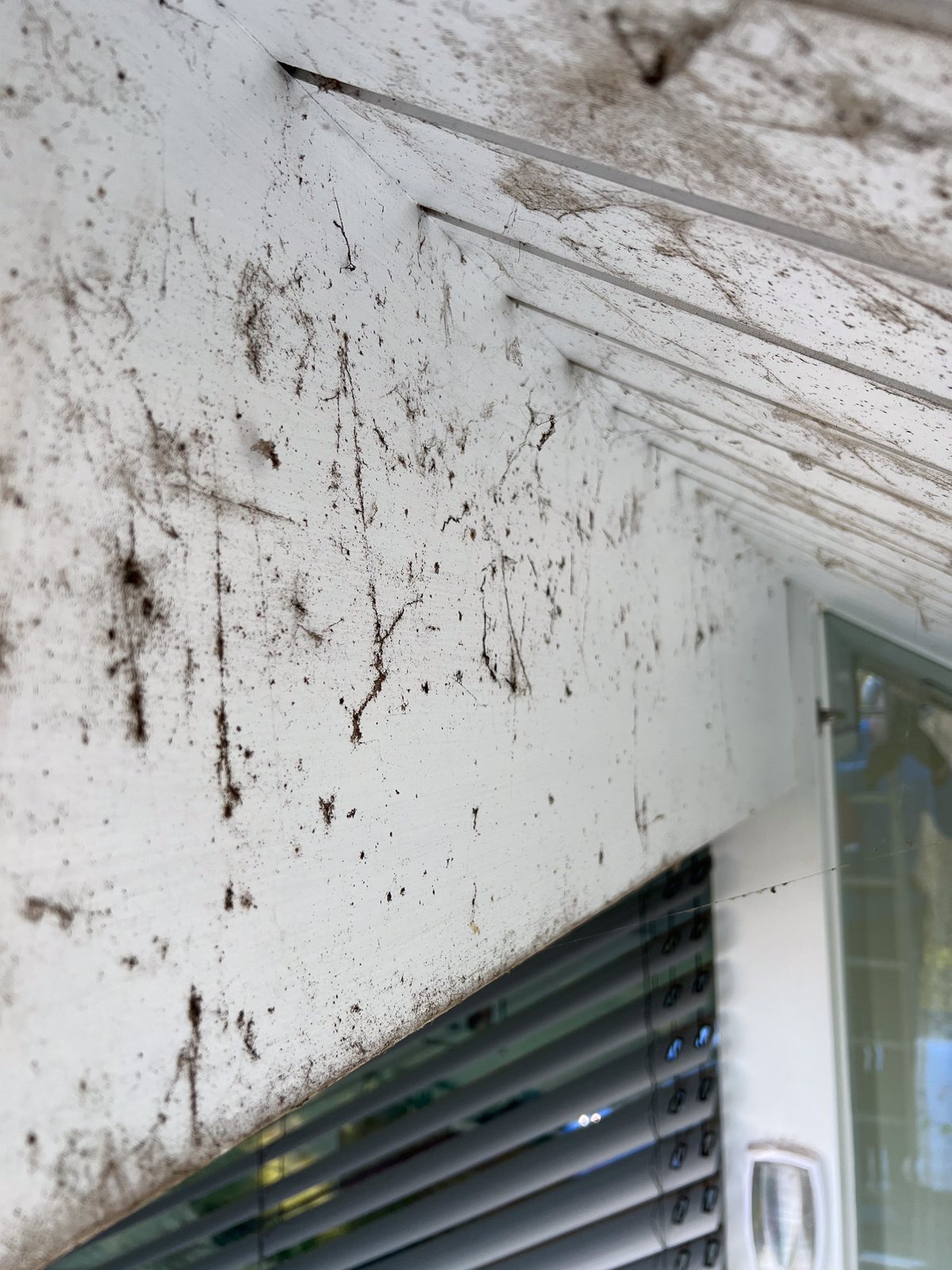 Dirty stained timber cladding before cleaning in Godalming Surrey