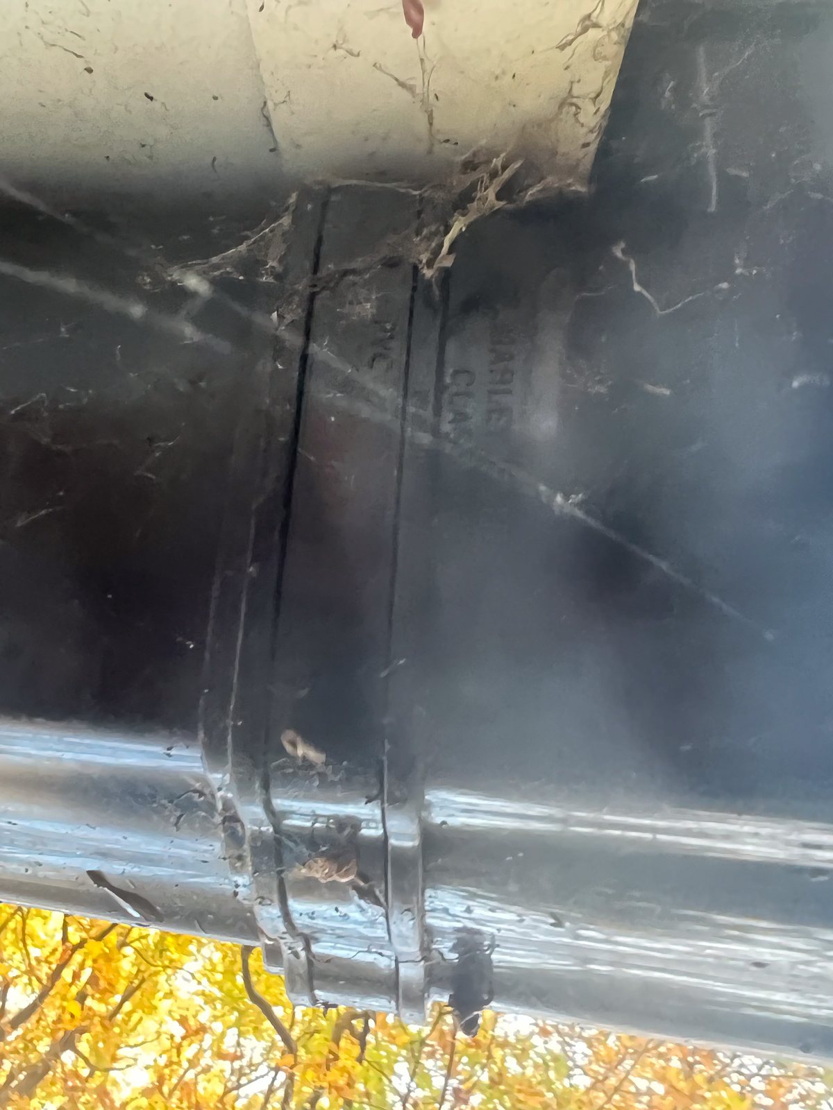 Blocked and dirty gutters with cobwebs and debris in Surrey before cleaning