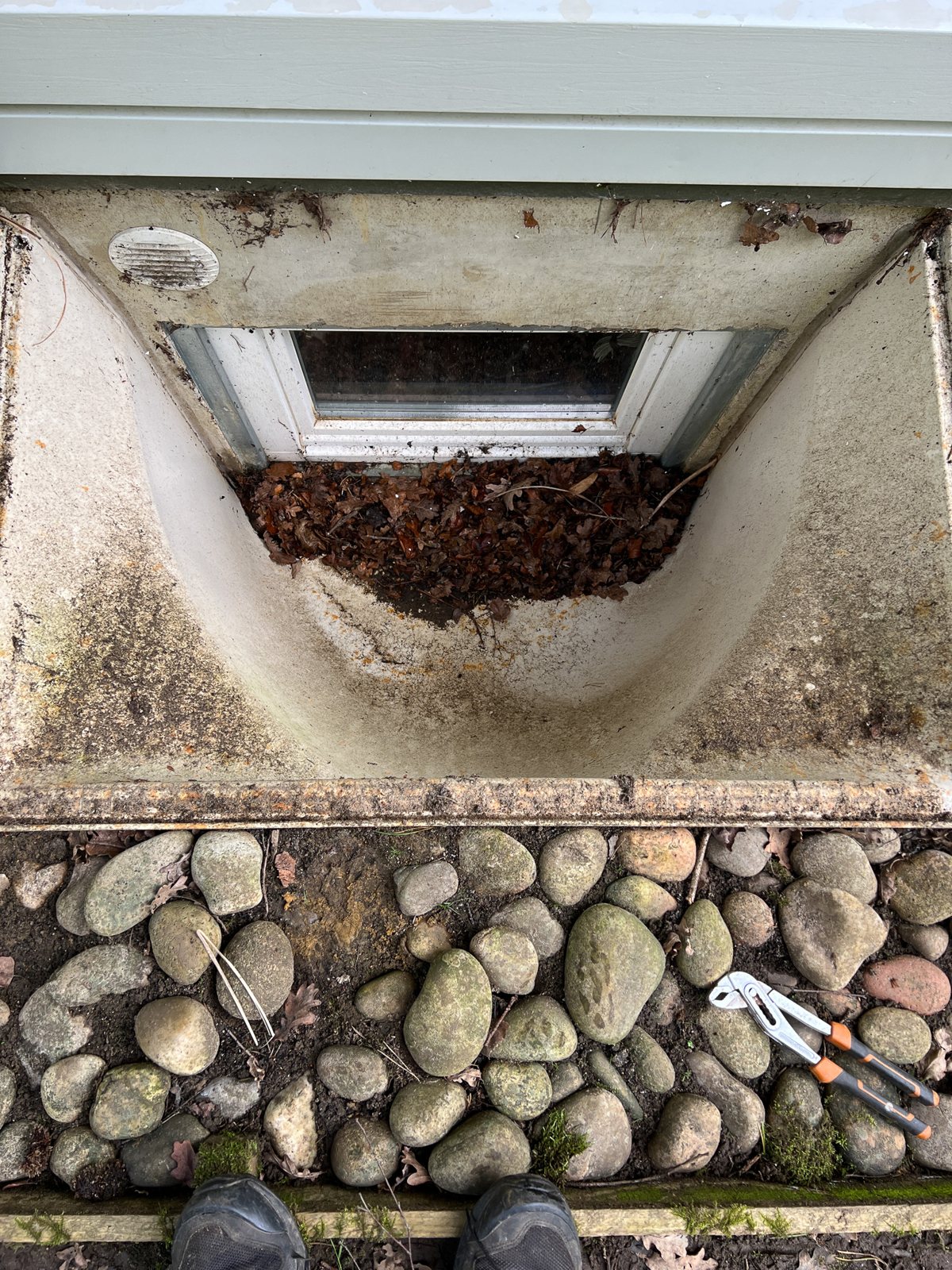 Basement lightwell with black mould and debris in Godalming Surrey before cleaning
