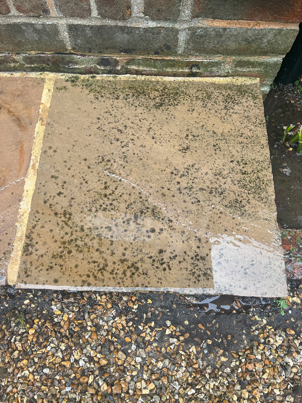 Black spot lichen staining on sandstone patio in Horsham before treatment