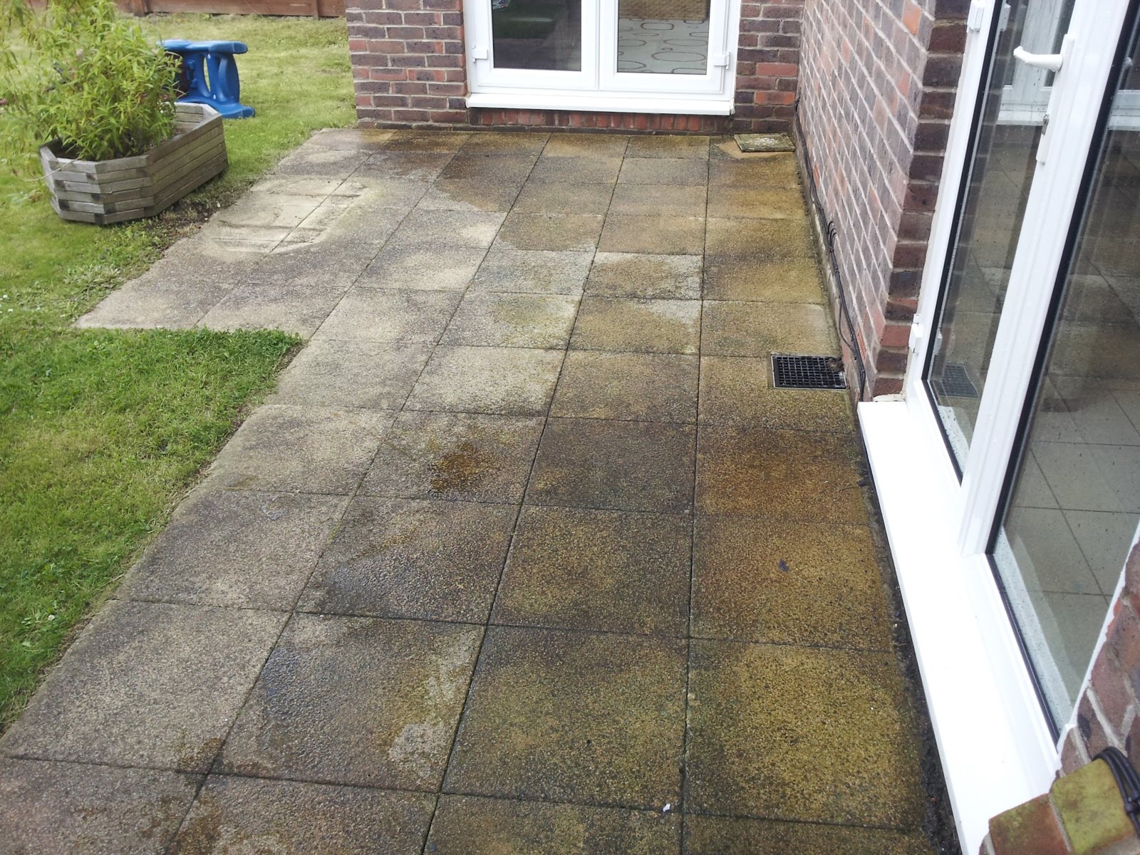 Before: slabs stained dark green with algae and ingrained dirt.
