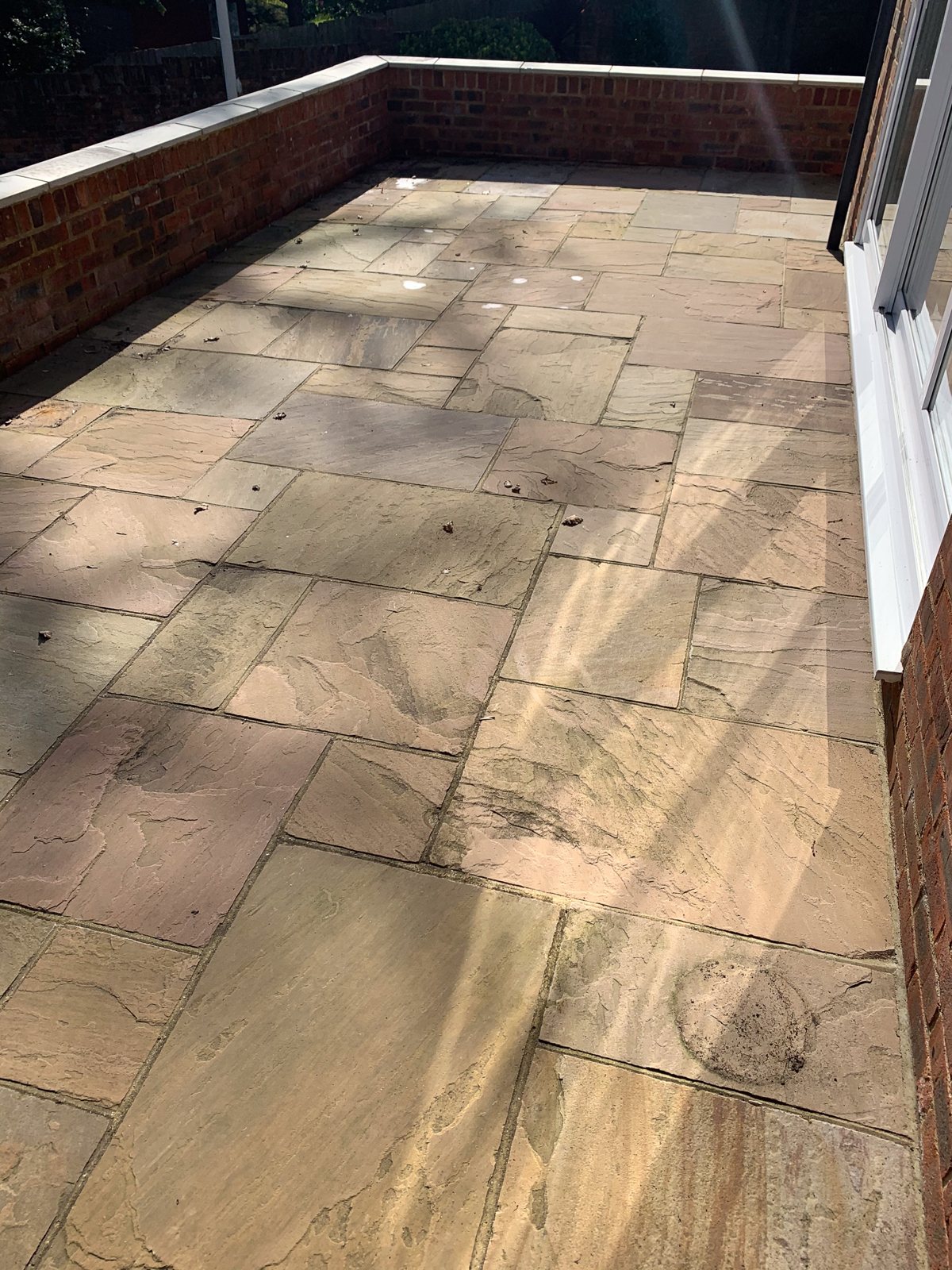 Sandstone patio in Godalming before cleaning — green algae and staining