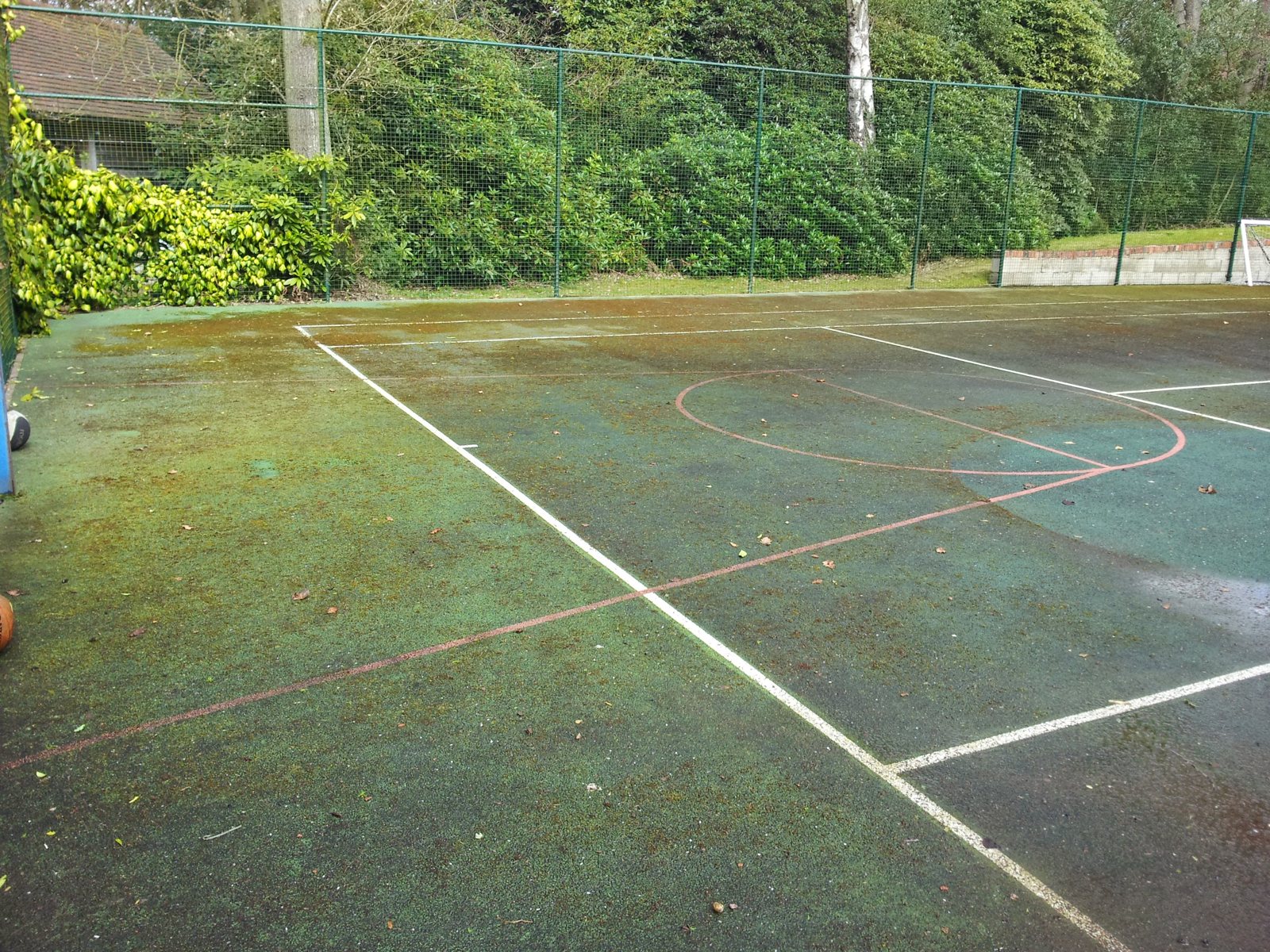 Before: the court surface lost under green algae and moss.
