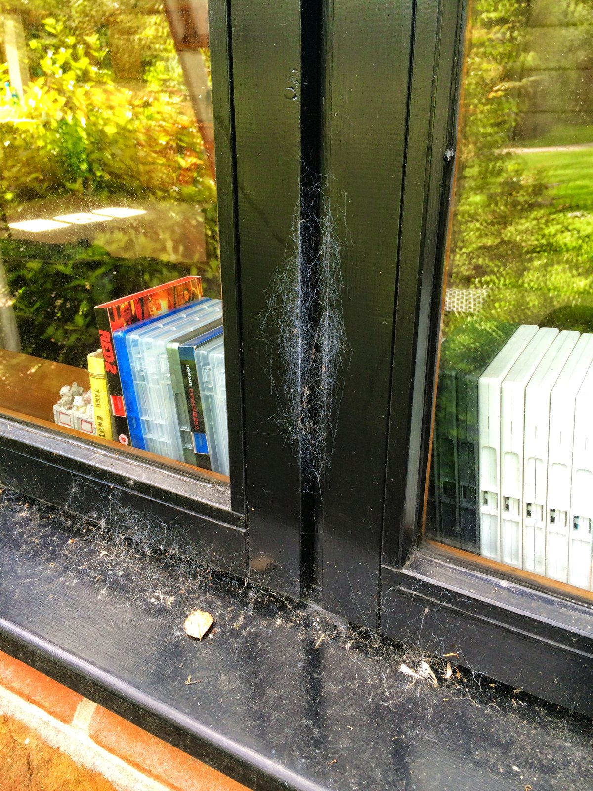 Before: frames marked with cobwebs, dust and grime.