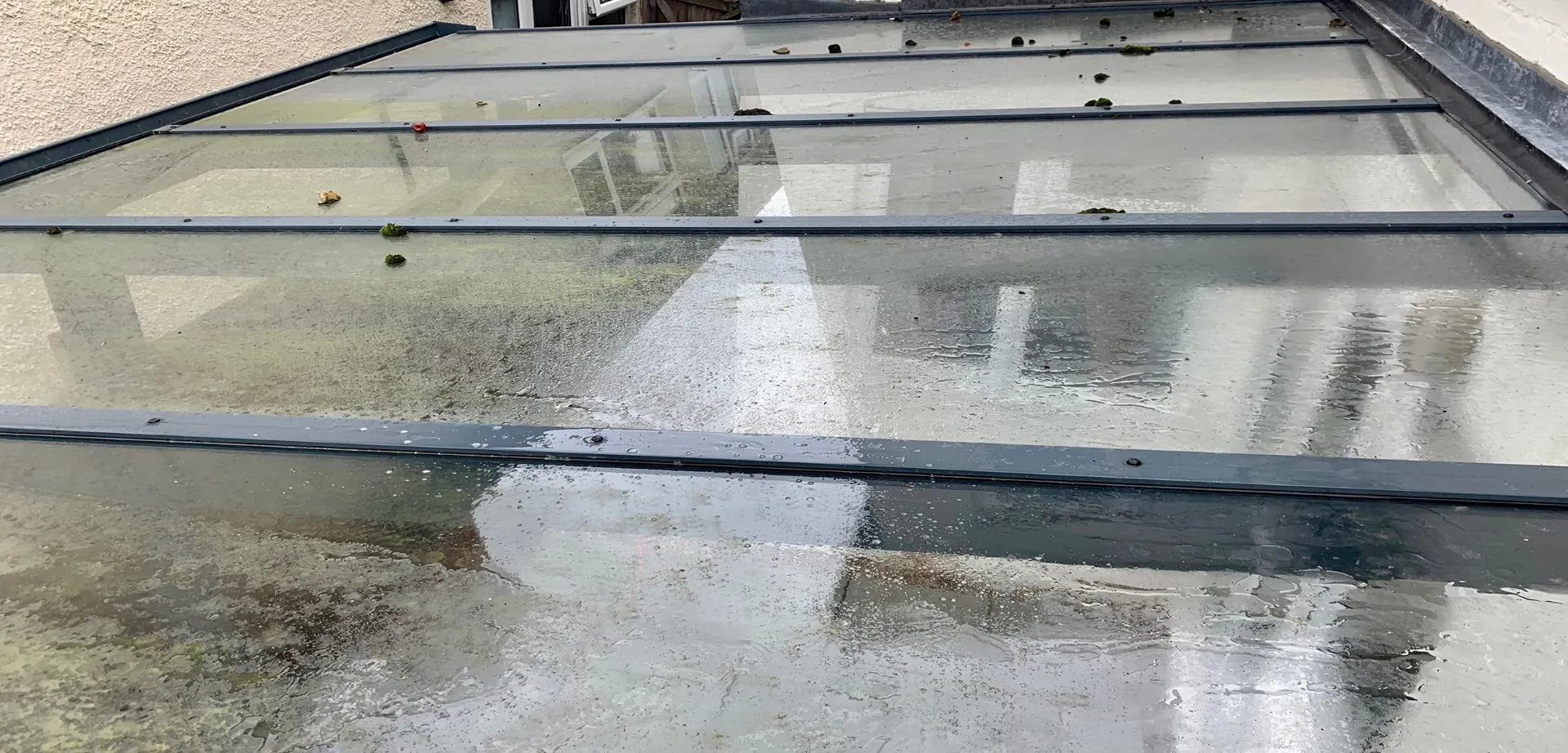 Conservatory roof part way through cleaning in Guildford