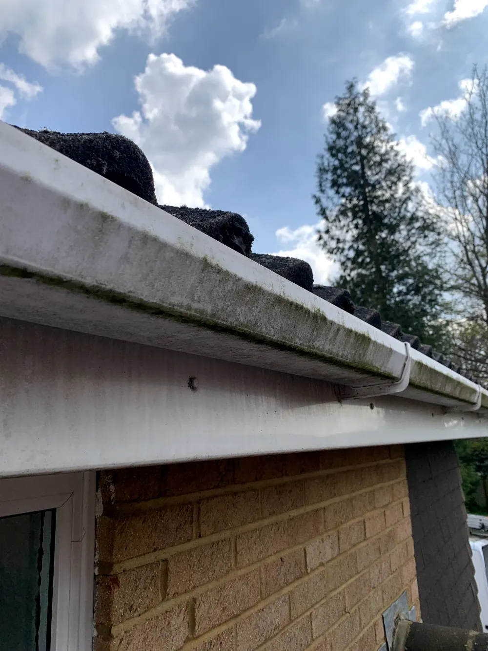 Godalming-Gutter-Cleaning-Before-opt Gutter in Godalming before clearing