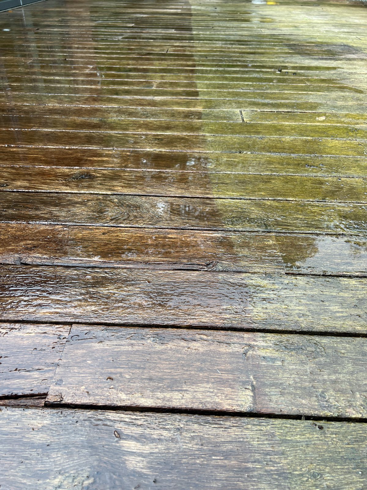 Algae on the deck boards and steps.