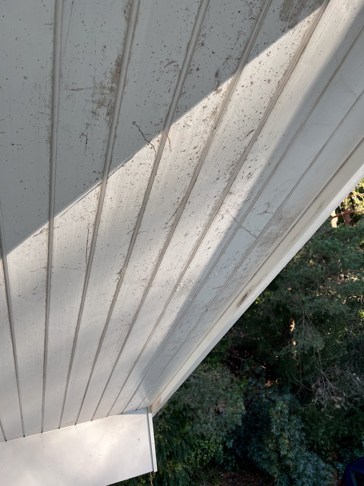 Photo from the job in Godalming, Surrey