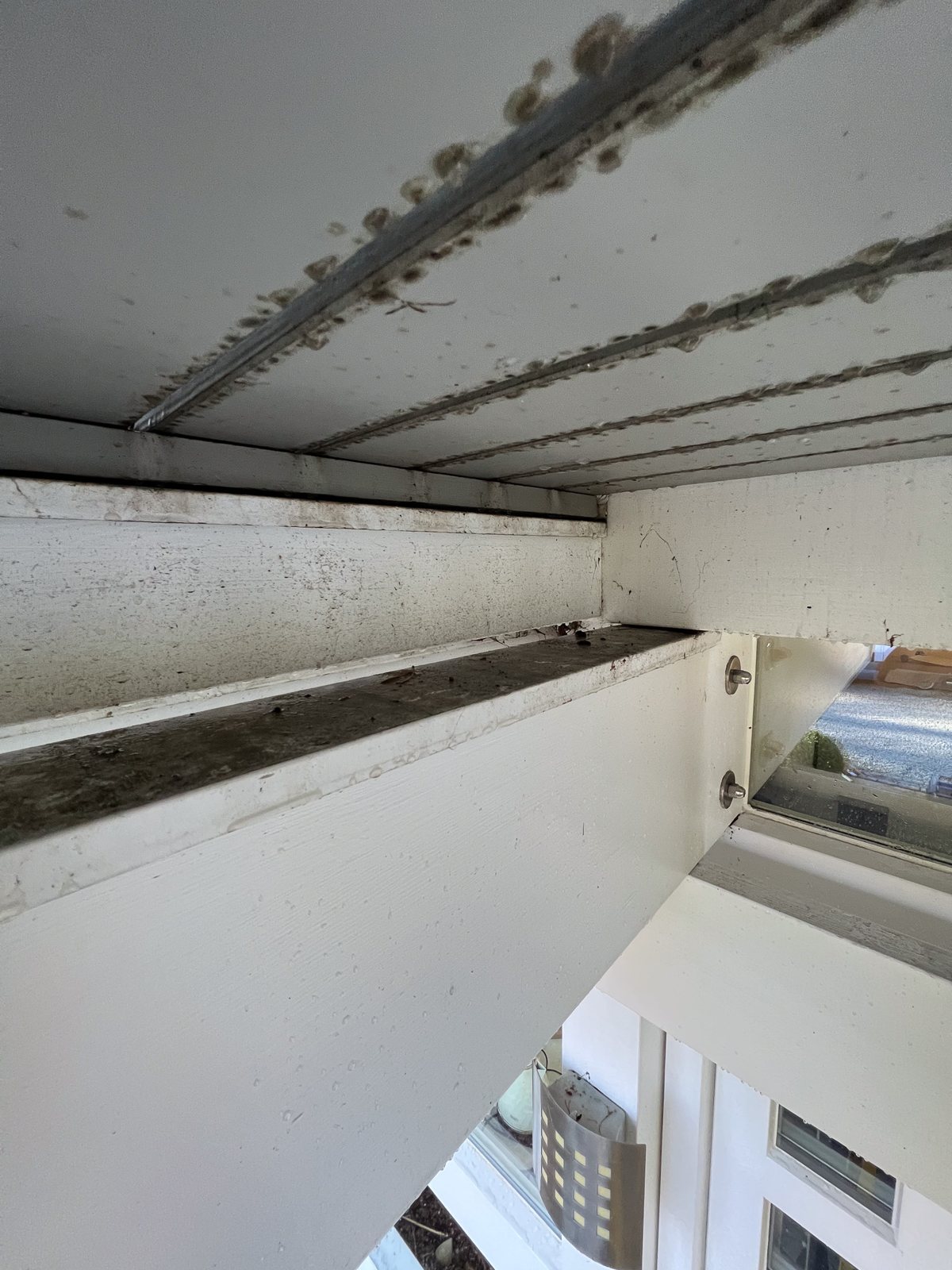 Photo from the job in Godalming, Surrey