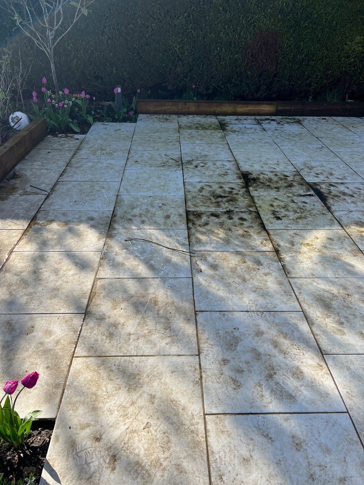 Algae staining on the porcelain tiles.