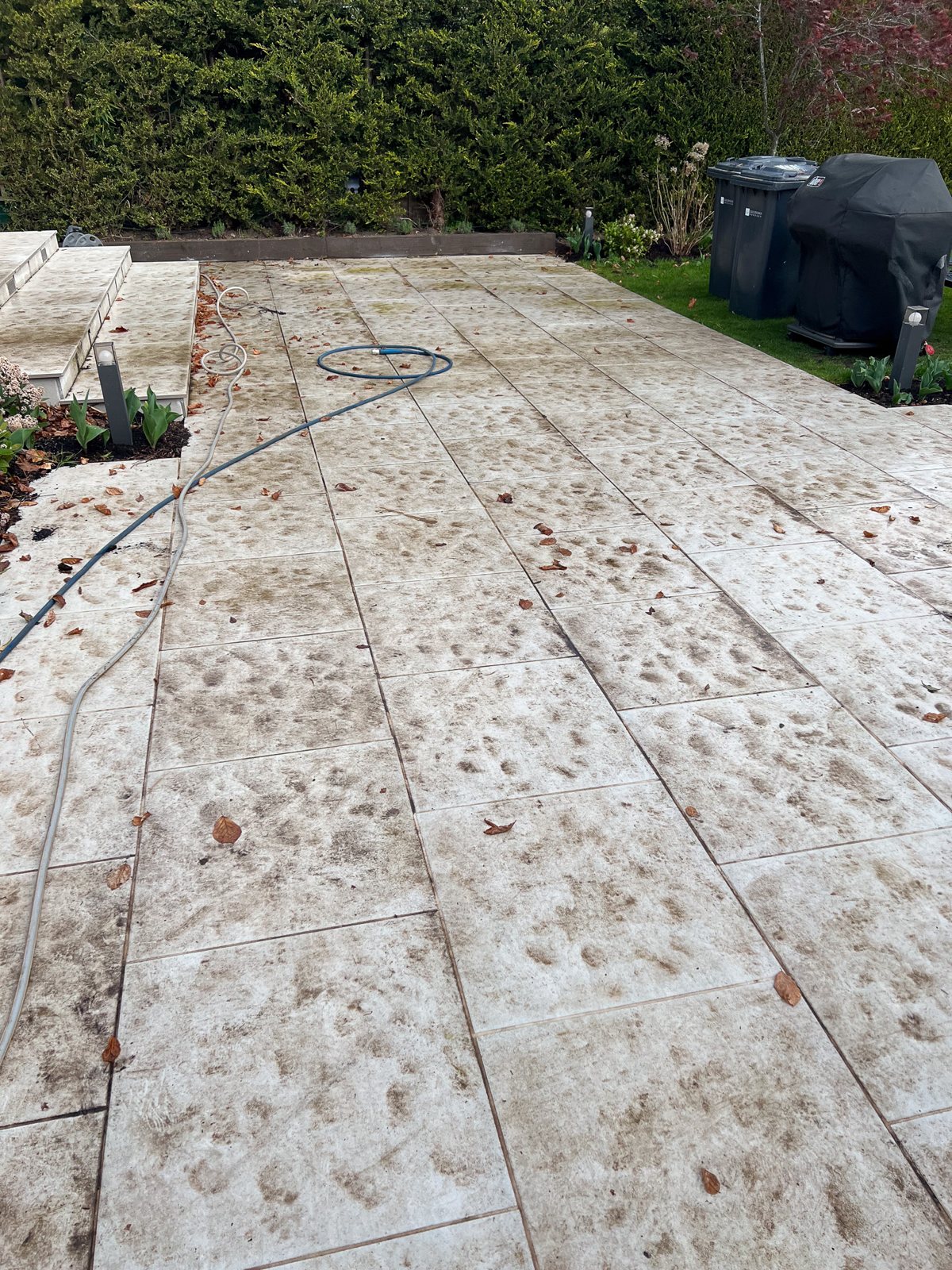 Photo from the job in Horsley, Surrey